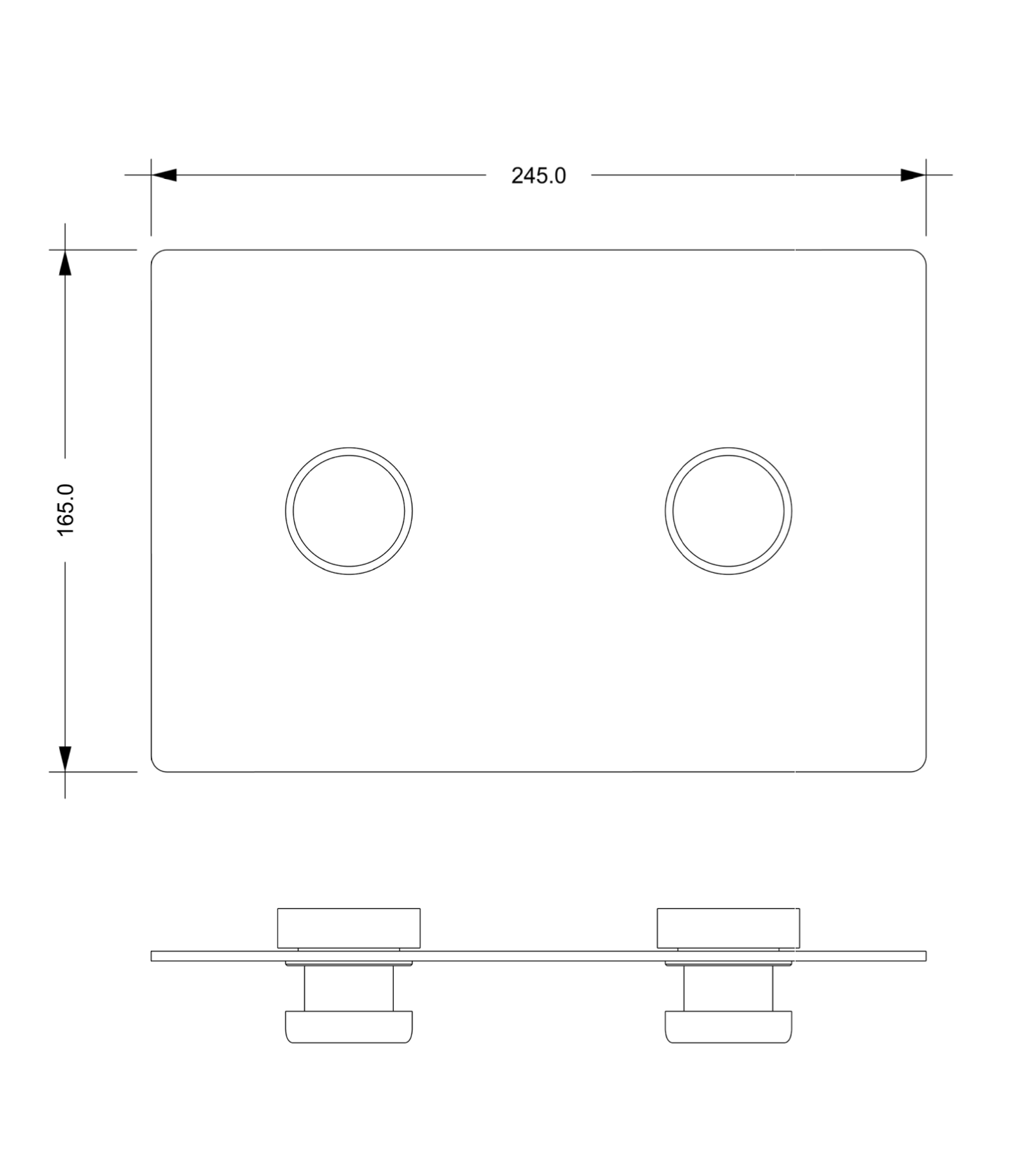 Flush Plate
