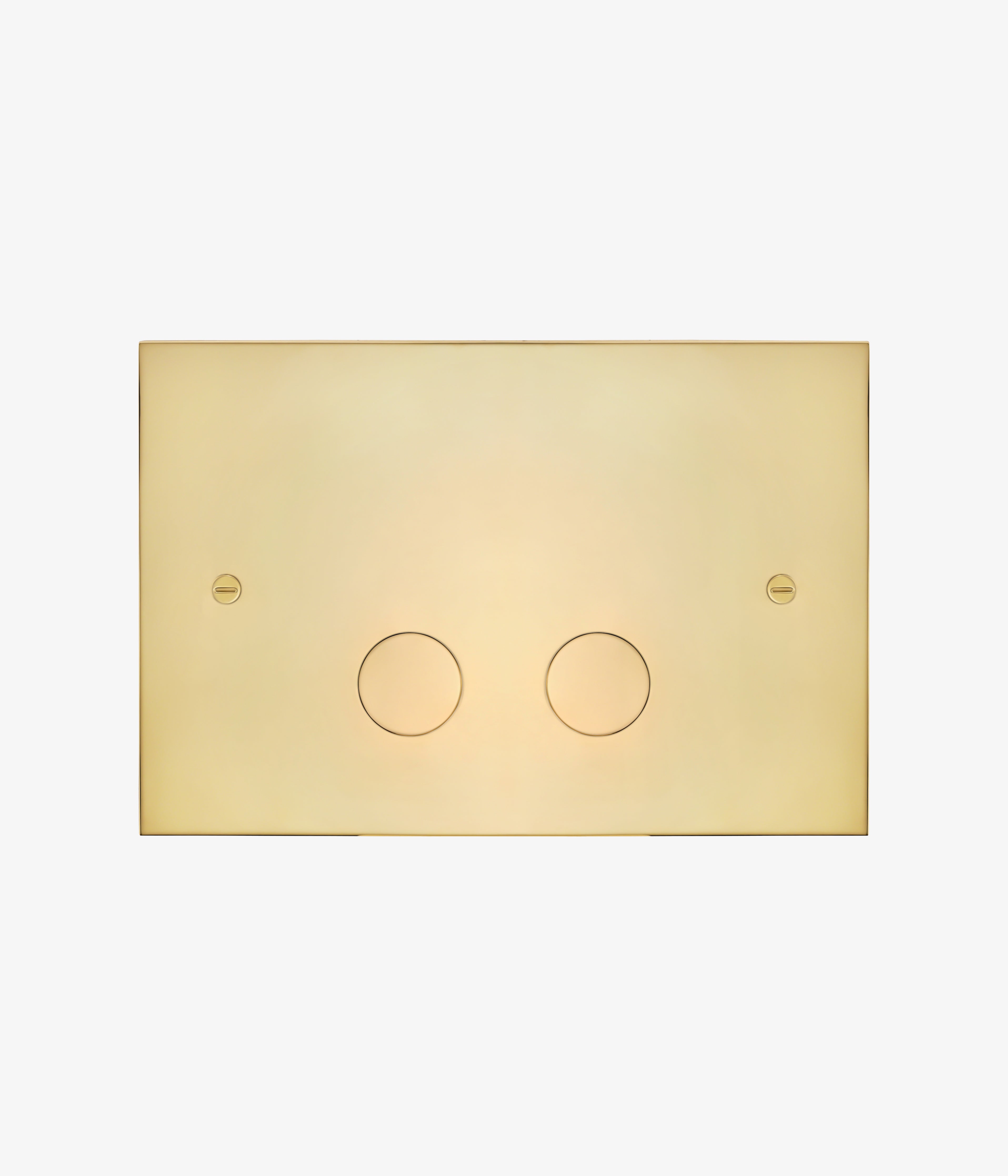 Nuvola Flush Plate